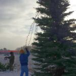 The tree, donated by Ken Ceckiewicz, was adorned with lights just this morning.